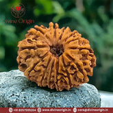 13 Faced Natural Nepali Rudraksha Beads (28mm)